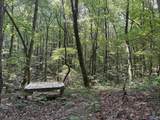 32 ac County Road 303 - Photo 32