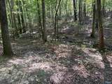 32 ac County Road 303 - Photo 36