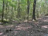 32 ac County Road 303 - Photo 37
