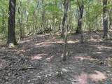 32 ac County Road 303 - Photo 38