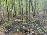 32 ac County Road 303 - Photo 39