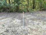 32 ac County Road 303 - Photo 4