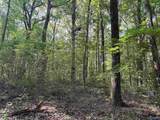 32 ac County Road 303 - Photo 40