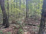 32 ac County Road 303 - Photo 41