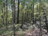 32 ac County Road 303 - Photo 43