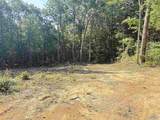 32 ac County Road 303 - Photo 7