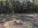 32 ac County Road 303 - Photo 8