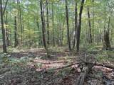 32 ac County Road 303 - Photo 9