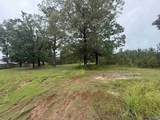 6.77 Highway 9 - Photo 7
