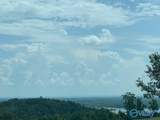 Lot 222 County Road 1022 - Photo 7