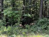 LOT 15 County Road 592 - Photo 2