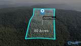 80 Acres Bella Vista Drive - Photo 23