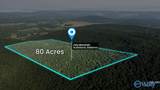 80 Acres Bella Vista Drive - Photo 25