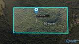 80 Acres Bella Vista Drive - Photo 27