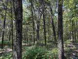 80 Acres Bella Vista Drive - Photo 29