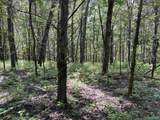 80 Acres Bella Vista Drive - Photo 30