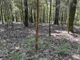 80 Acres Bella Vista Drive - Photo 31