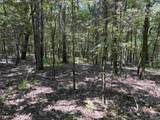 80 Acres Bella Vista Drive - Photo 33