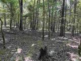 80 Acres Bella Vista Drive - Photo 34