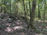 80 Acres Bella Vista Drive - Photo 35