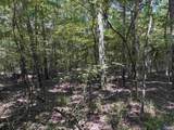 80 Acres Bella Vista Drive - Photo 36