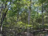 80 Acres Bella Vista Drive - Photo 37