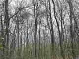 80 Acres Bella Vista Drive - Photo 40