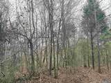 80 Acres Bella Vista Drive - Photo 41