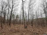80 Acres Bella Vista Drive - Photo 42