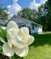 3423 County Road 88 - Photo 4