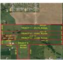 23.75 ACRES Alabama Highway 251 - Photo 2