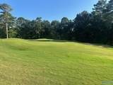 Lot 43 Savannah Circle - Photo 15