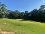 Lot 43 Savannah Circle - Photo 16