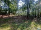 Lot 43 Savannah Circle - Photo 19