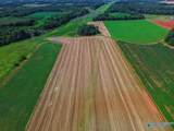 39 AC Huntsville Brownsferry Road - Photo 10