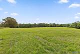 20.44 Acres County Road 126 - Photo 12