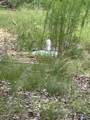 195 County Road 844 - Photo 7