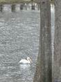 1 Acre Lake Pointe Circle - Photo 29