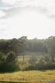 910 +/- Acres - Photo 8