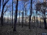 48 acres Mitchell Hollow Road - Photo 3