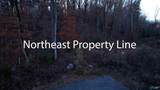 48 acres Mitchell Hollow Road - Photo 6