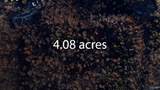 48 acres Mitchell Hollow Road - Photo 7