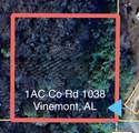 1AC County Road 1038 - Photo 3