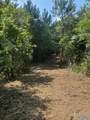 14 Acres Wills Creek Road - Photo 26