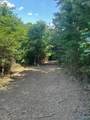 14 Acres Wills Creek Road - Photo 27