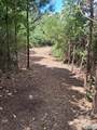 14 Acres Wills Creek Road - Photo 29