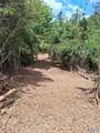 14 Acres Wills Creek Road - Photo 30