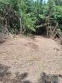 14 Acres Wills Creek Road - Photo 31