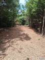 14 Acres Wills Creek Road - Photo 32