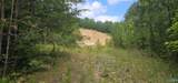 3.3+/- Acres--0 County Road 27 - Photo 49